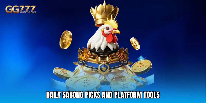 Daily Sabong Picks and Platform Tools