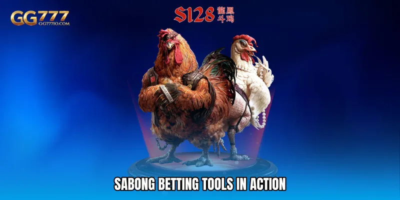 Sabong Betting Tools - Smart Analytics For Winners 4 Sabong Betting Tools in Action