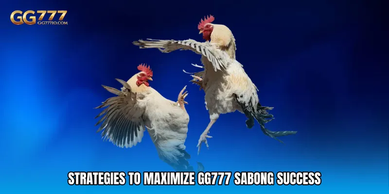 GG777 Sabong 3 Strategies to Maximize GG777 Sabong Success
